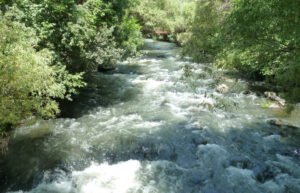 Փամբակ գետում դի է հայտնաբերվել
