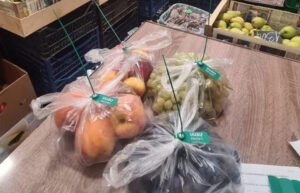 «Դիխլոֆոսի» պատմության հետքերով. ՍԱՏՄ-ը հրապարակել է փորձաքննության արդյունքները